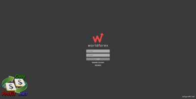 World Forex (WForex): вход на Web Trader