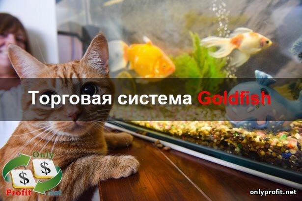Торговая система Goldfish