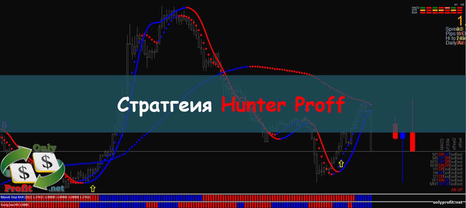 Стратегия Hunter Proff