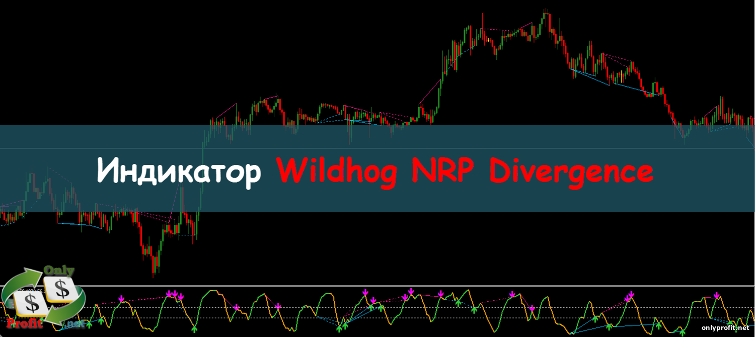Индикатор Wildhog NRP Divergence