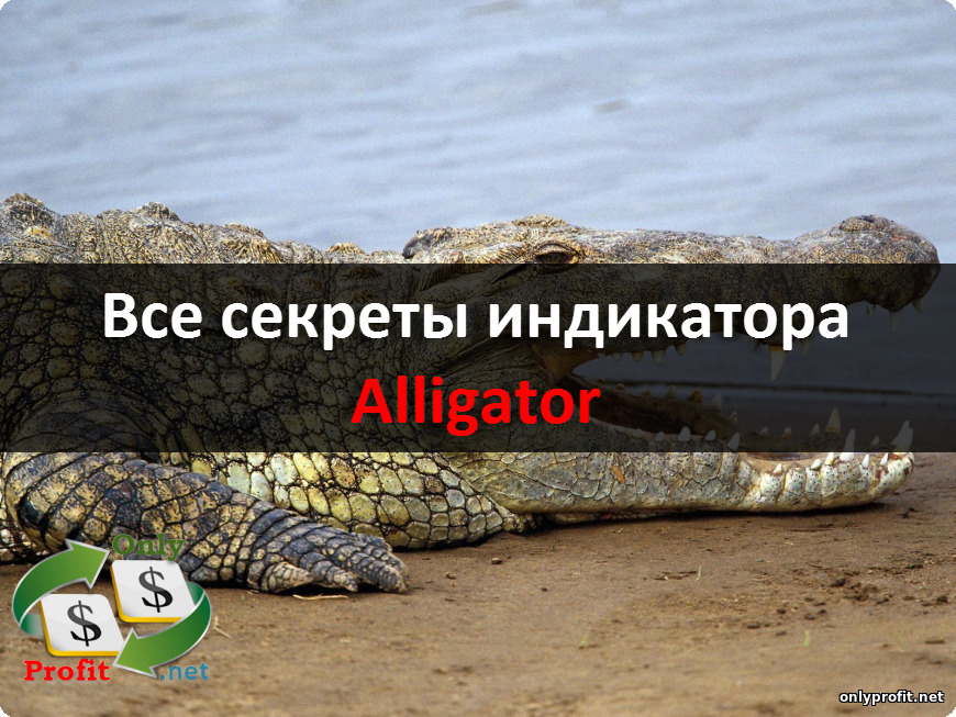 Все секреты индикатора Alligator (Аллигатор)