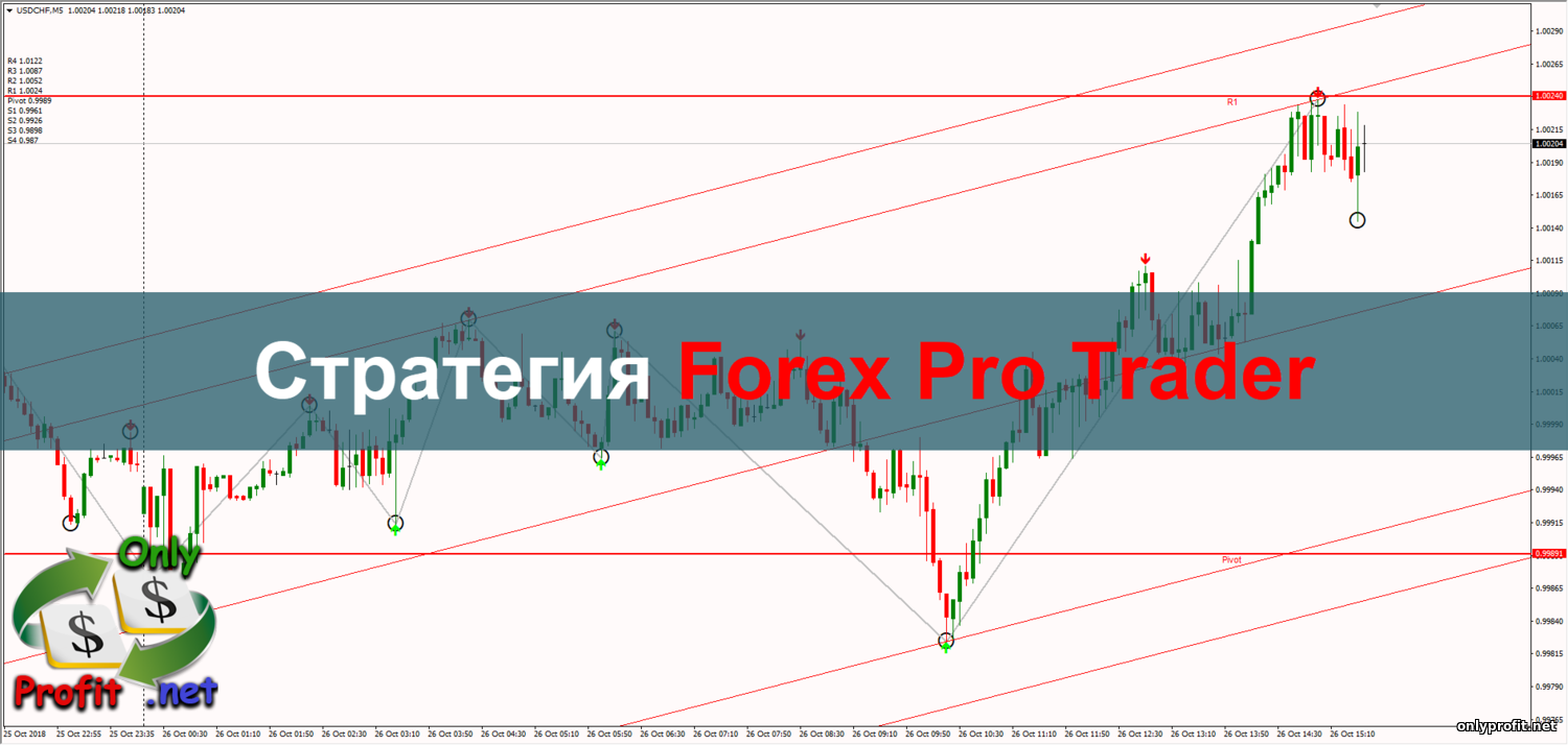 Стратегия для Бинарных опционов Forex Pro Trader