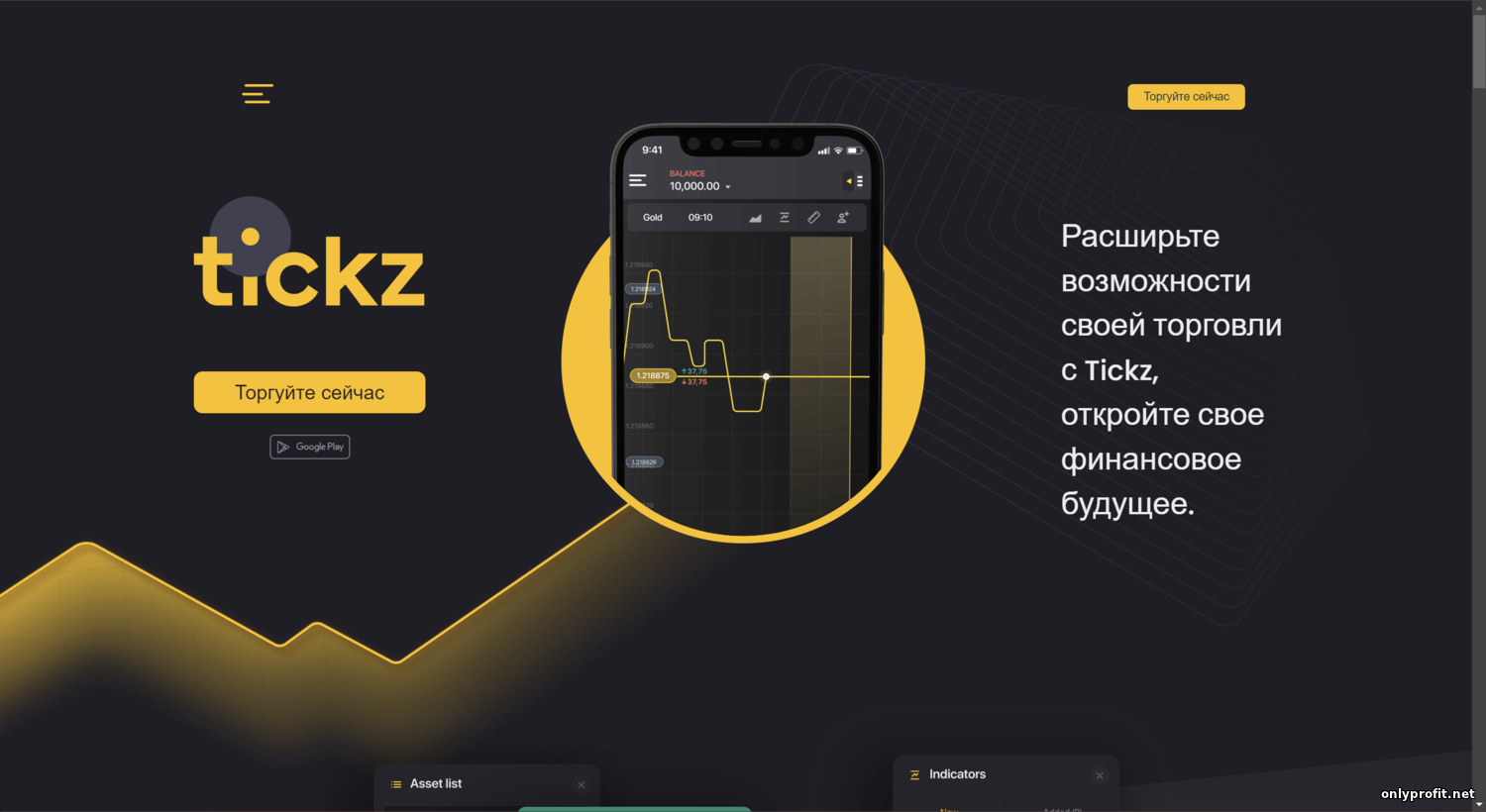 Tickz – брокер бинарных опционов для торговли тиковыми и краткосрочными опционами