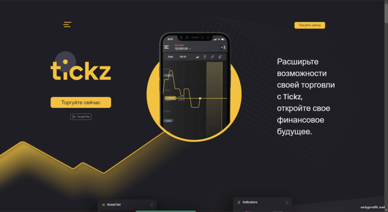 официальный сайт брокера Tickz