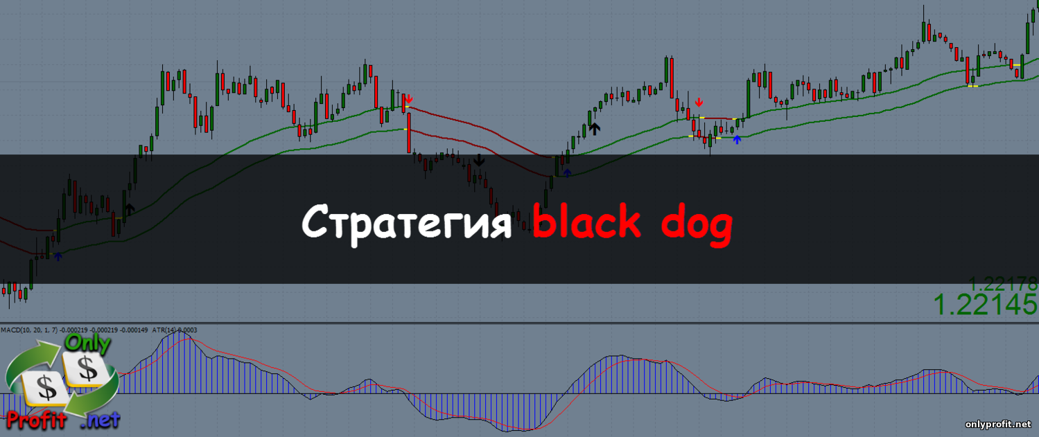 Стратегия Black Dog